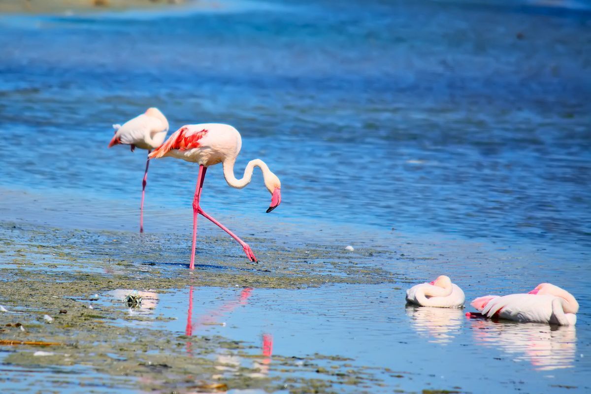 Immagine relativa alla categoria Parchi e natura